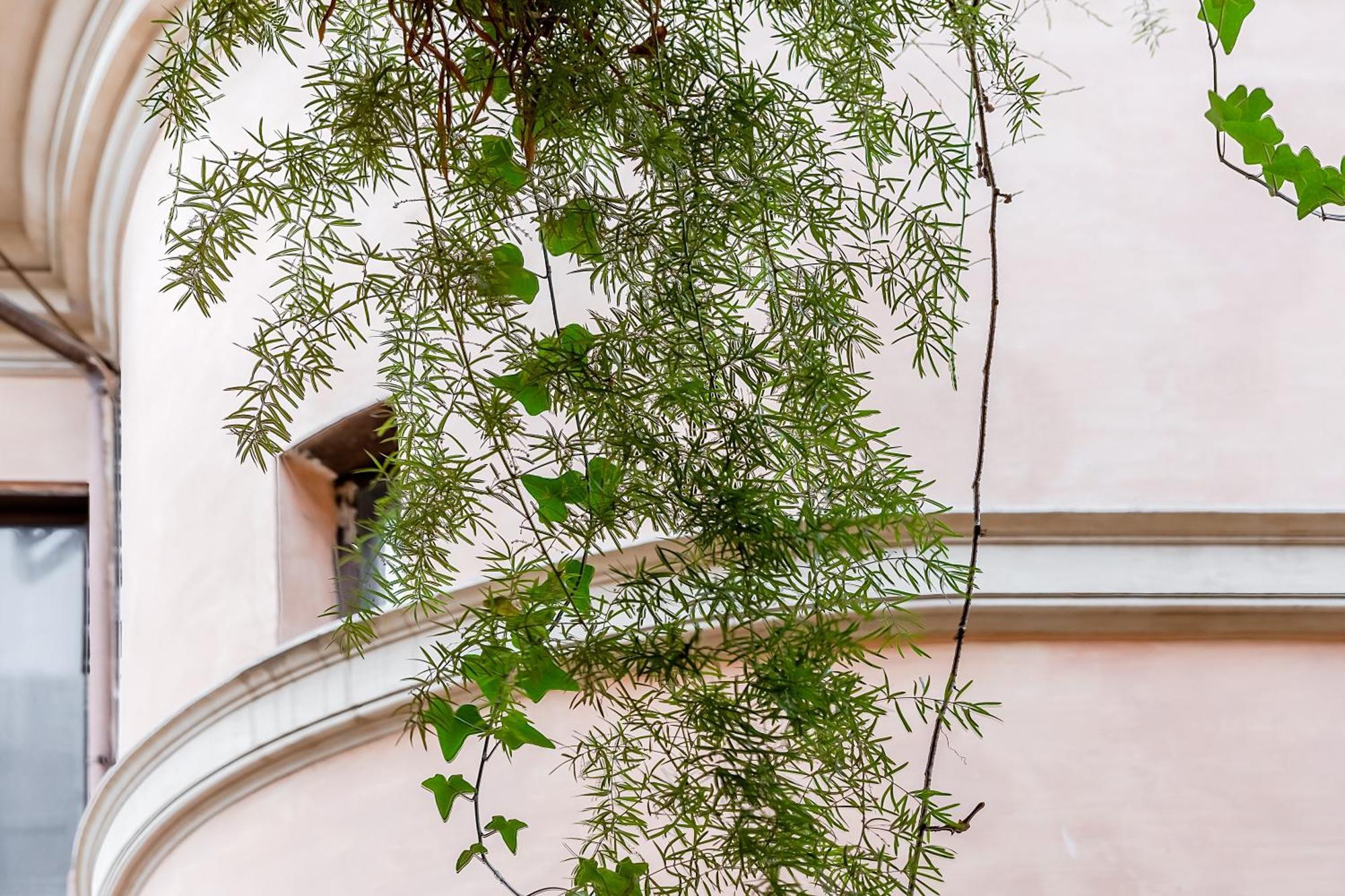 Trevi Fountain Stylish Guest House Рим Екстер'єр фото